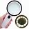 Hand Held Magnifying Glass with Light