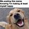 Happiness Dog Meme
