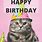 Happy Birthday Cards with Cats