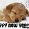 Happy New Year GIF Puppy