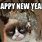 Happy New Year Grumpy Cat Meme
