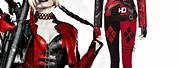 Harley Quinn Black and Red Costume