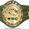 Heavyweight Championship Belt