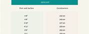 Height Metric Conversion