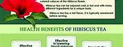 Hibiscus Flower Tea Health Benefits