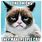 Hilarious Grumpy Cat Memes