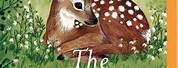 Holly Webb Books The Hideaway Deer