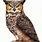 Horned Owl Clip Art