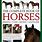 Horse Breeds Book