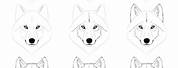 How to Draw a Wolf Face for Beginners