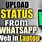 How to Update WhatsApp in Laptop