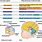 Human Brain Development Stages