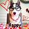 Husky Dog Birthday