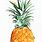 Illustrated Pineapple