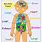 Inside Human Body for Kids