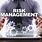 It Risk Management