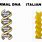 Italian DNA Meme