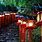 Japanese Shrine Lights