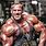 Jay Cutler Images