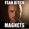 Jesse Pinkman Magnets