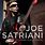 Joe Satriani Albums