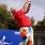 John Daly Golf Outfits