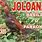 Joloanon Chicken
