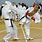 Karate Kumite Training
