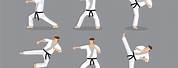 Karate Move Martial Arts