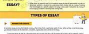 Kinds of Essay