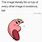 Kirby Meme Template