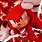 Knuckles the Echidna PFP