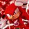 Knuckles the Echidna Powers