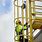 Ladder Fall Protection System