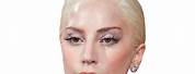 Lady Gaga Face Cutout