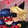Ladybug in Love with Cat Noir