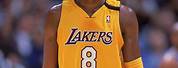 Lakers 8 Kobe Bryant