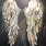 Large Angel Wings Art