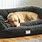 Large Breed Dog Beds