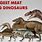 Largest Meat Eater Dinosaur