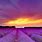 Lavender Sunset Background