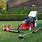 Lawn Mowing Equipment