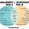 Leadership and Management Skills