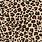 Leopard Print Art