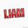 Liam Name Logo