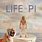 Life of Pi Pictures