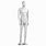 Life-Size Poseable Mannequin