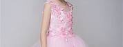 Light Pink Lace Flower Girl Dresses
