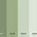 Light Sage Green Color Palette
