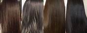 Light vs Medium Brown Hair Color